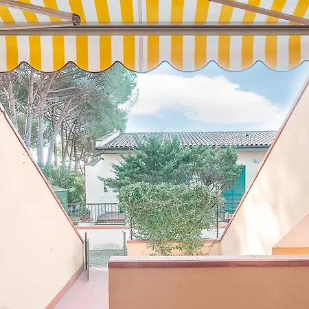 Cassiopea مارينا دي كامبو